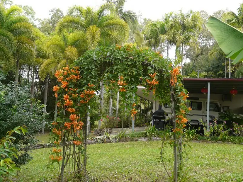 Main view of Homely rural property listing, 2439 Bruce Highway, Hampden QLD 4741
