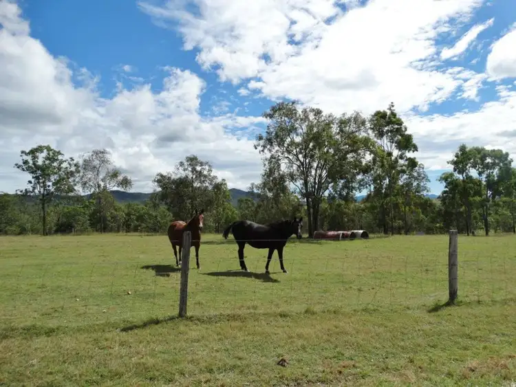 Seventh view of Homely rural property listing, 1000 Gorge Road, Taunton QLD 4674
