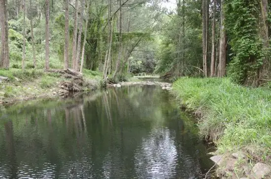 Sixth view of Homely rural property listing, 571 Upper Buckrabendinni Road, Bowraville NSW 2449