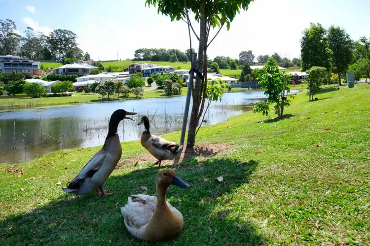 Fourth view of Homely house listing, 4 Cargelligo Ct, Coffs Harbour NSW 2450