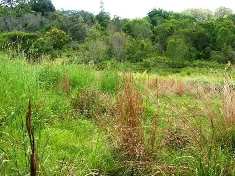 Third view of Homely rural property listing, 202 Elliots Road, Tamban NSW 2441