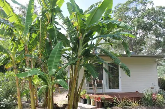 Seventh view of Homely rural property listing, Address available on request