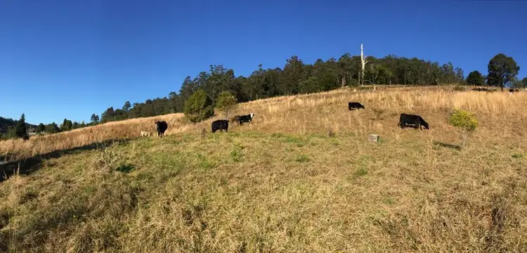 Fourth view of Homely rural property listing, 3 Rose Hill Lane, Yarramalong NSW 2259
