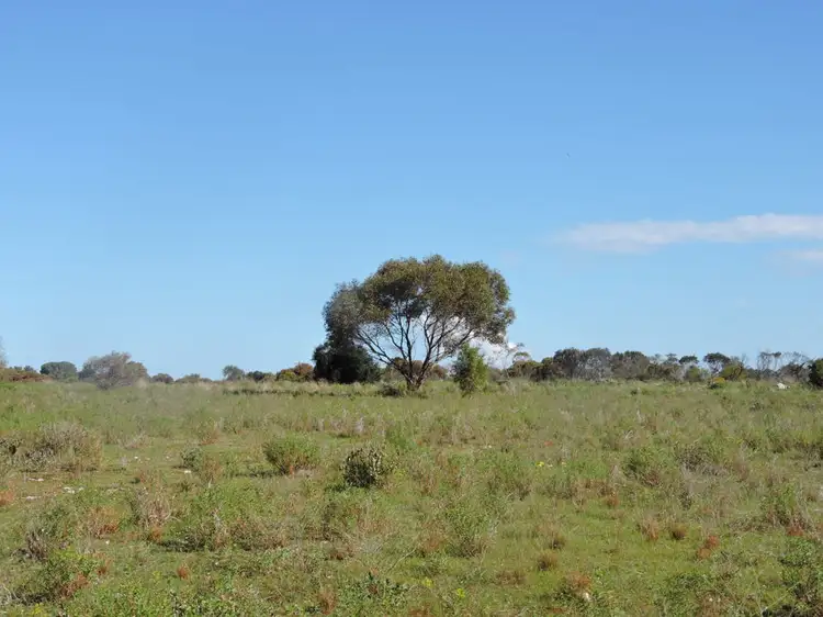 Fourth view of Homely rural property listing, Lot 4 Off Princes Highway, Tailem Bend SA 5259