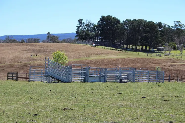 Third view of Homely rural property listing, 157 Nutshell Road, Tenterfield NSW 2372