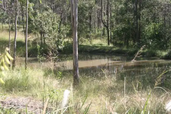 Sixth view of Homely rural property listing, Lot 16 Bushy Drive, Tabulam NSW 2469