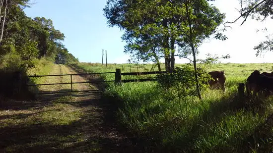 Third view of Homely land listing, 1412 Mossman - Mount Molloy Road, Julatten QLD 4871