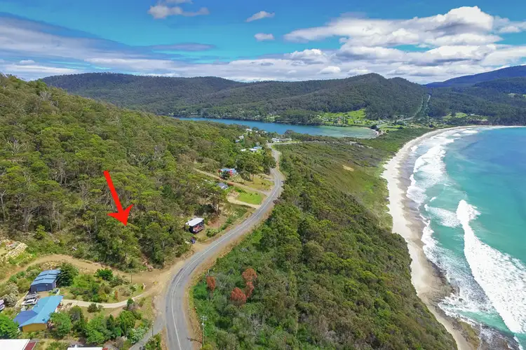 82A Blowhole Rd, Eaglehawk Neck TAS 7179