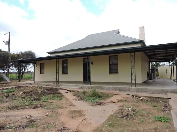 Main view of Homely rural property listing, 663 Belvedere, Mannum SA 5238