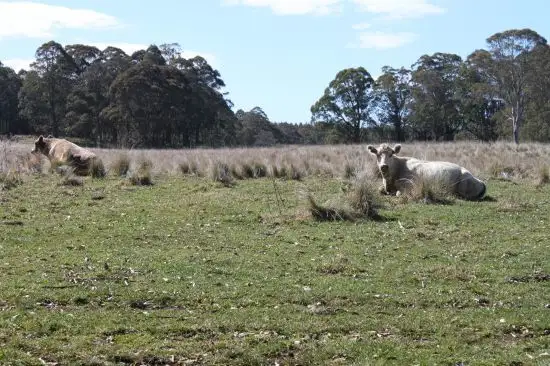 Third view of Homely rural property listing, Address available on request