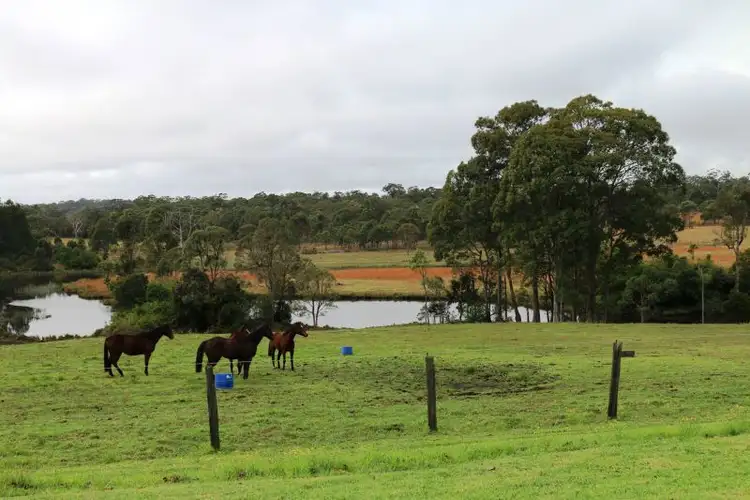 Third view of Homely rural property listing, 1227 Hue Hue Road, Wyee NSW 2259