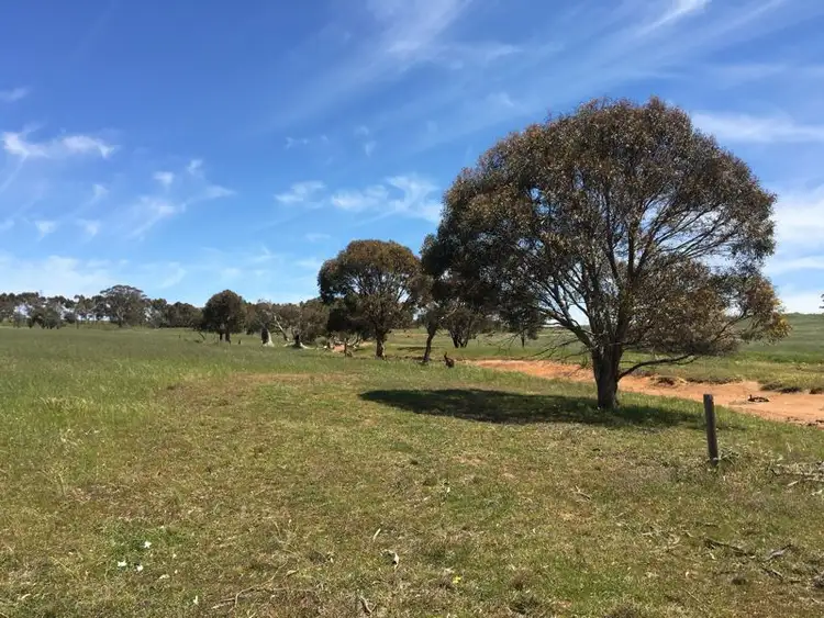 Seventh view of Homely rural property listing, Sec 98 Range Road, Rockleigh SA 5254