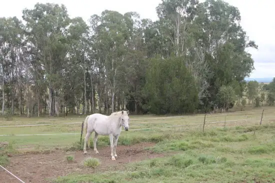 Fourth view of Homely rural property listing, 10915 Summerland Way, Casino NSW 2470