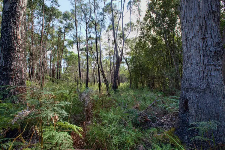 Fifth view of Homely land listing, 4125 Arthur Highway, Murdunna TAS 7178