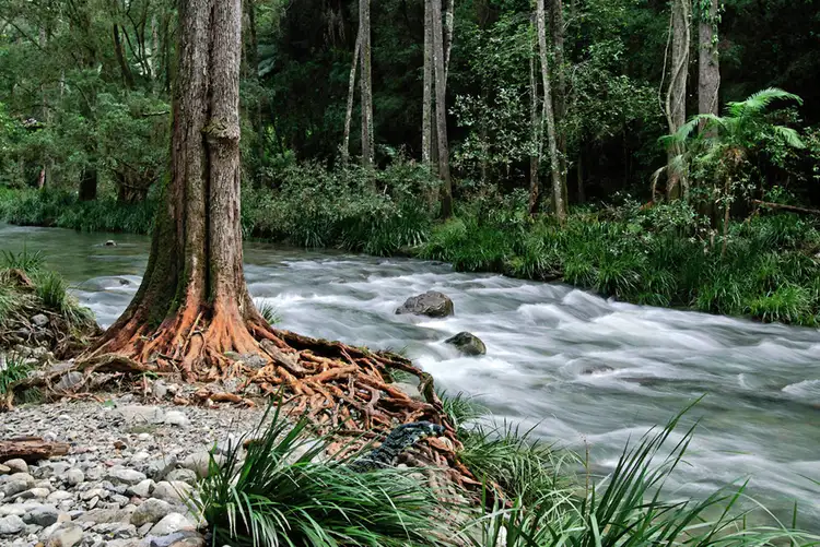 Fourth view of Homely house listing, 45 Little North Arm Road, Thora, Bellingen NSW 2454