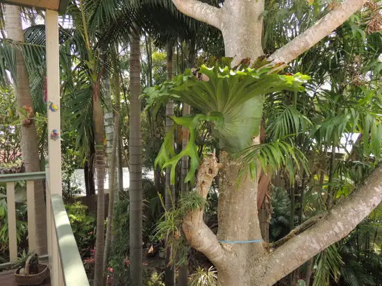 Second view of Homely house listing, 28 Murrajong Rd, Springwood QLD 4127