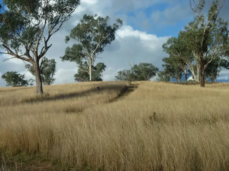 Fourth view of Homely rural property listing, ROSEVILLE PARK, Tamworth NSW 2340