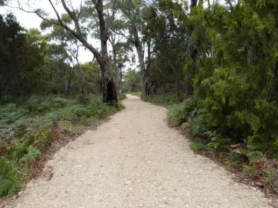 Fifth view of Homely land listing, Lot 1 /8 Skeggs Avenue, White Beach TAS 7184
