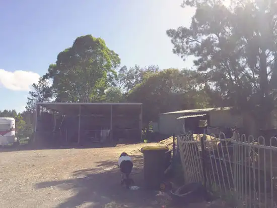 Fourth view of Homely rural property listing, 43 Bigmor Drive, Elimbah QLD 4516