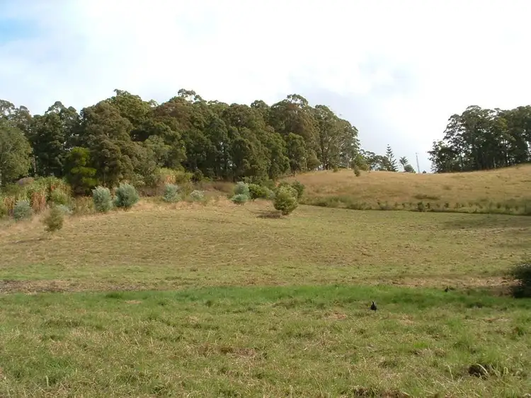 Fifth view of Homely rural property listing, Lot 1 East West Road, Valla NSW 2448