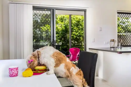 Third view of Homely townhouse listing, 2/333 Stanley Road, Carina QLD 4152