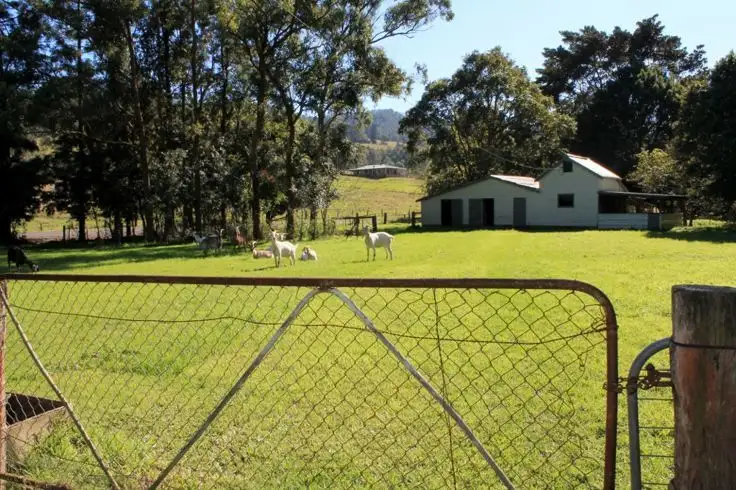 Fifth view of Homely rural property listing, 540 Gradys Creek Road, Kyogle NSW 2474