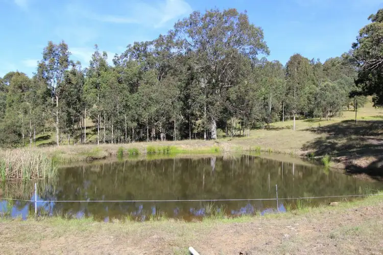 Sixth view of Homely rural property listing, 1454 Willina Rd, Bunyah NSW 2429