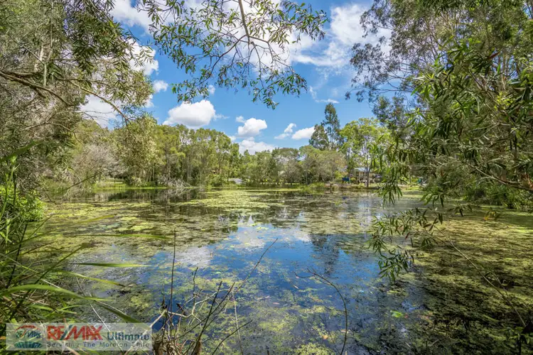 Fifth view of Homely house listing, 46 Currimundi Court, Burpengary QLD 4505