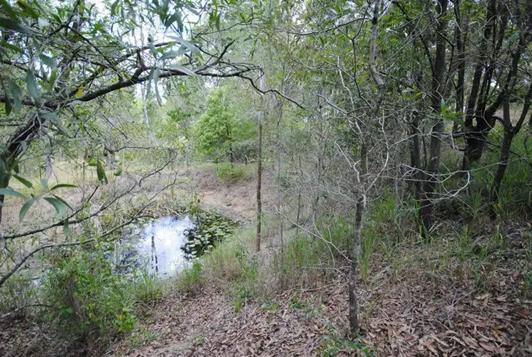 Sixth view of Homely land listing, 47 Witham Road, The Dawn QLD 4570