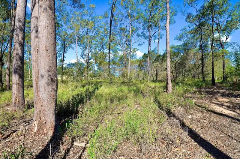 Main view of Homely land listing, 88 Thallon Road, Kensington Grove QLD 4341