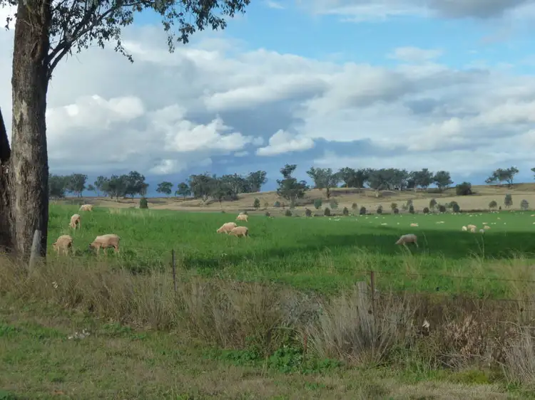 Main view of Homely rural property listing, ROSEVILLE PARK, Tamworth NSW 2340
