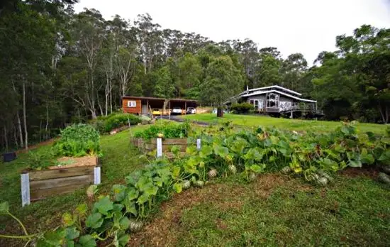 Main view of Homely house listing, 529 Dairyville Road, Upper Orara NSW 2450
