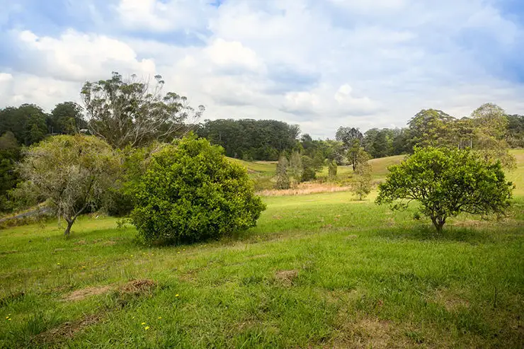 Third view of Homely house listing, Lot 571 Wirrimbi Road, Newee Creek NSW 2447