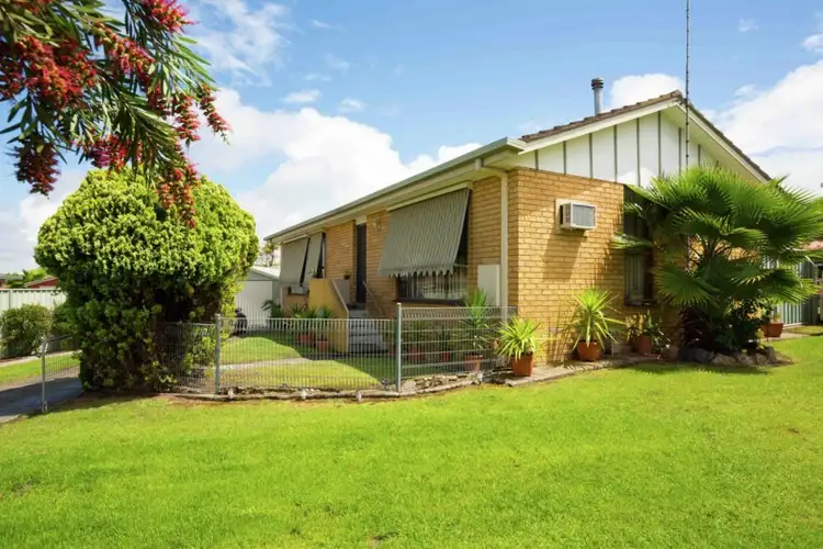Main view of Homely house listing, 146 Baranbale Way, Lavington NSW 2641