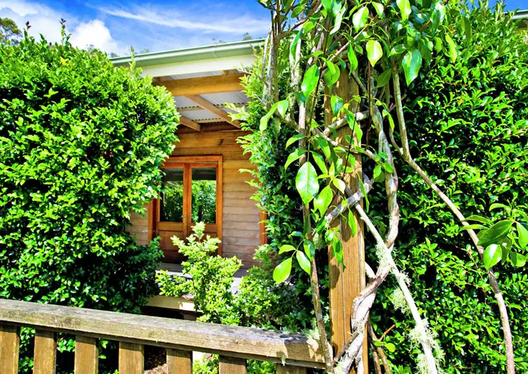 Sixth view of Homely rural property listing, 869 South Arm Road, Bellingen NSW 2454