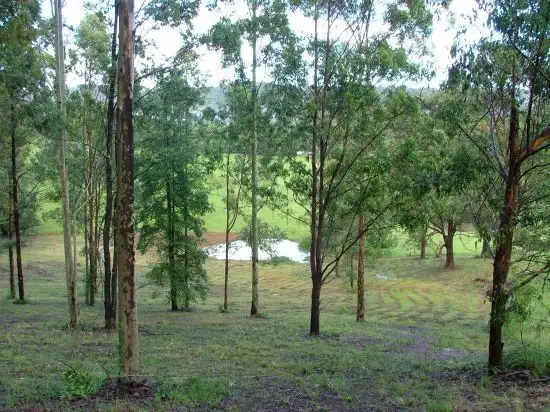 Second view of Homely rural property listing, 114 Coldwater Creek Rd, Nana Glen NSW 2450