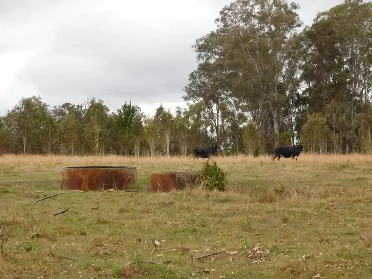 Sixth view of Homely rural property listing, 10 Carwong Road, Rappville NSW 2469