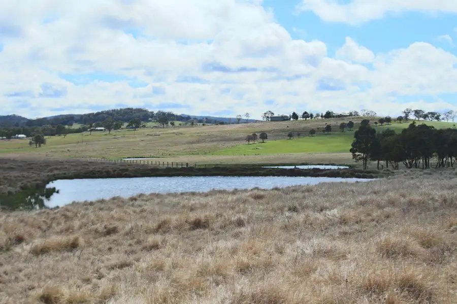 Main view of Homely land listing, 630 Bryans Gap Road, Tenterfield NSW 2372