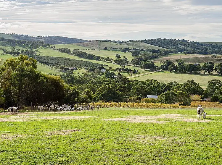 278 Braeside Road, Finniss SA 5255
