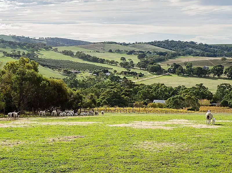 Main view of Homely rural property listing, 278 Braeside Road, Finniss SA 5255