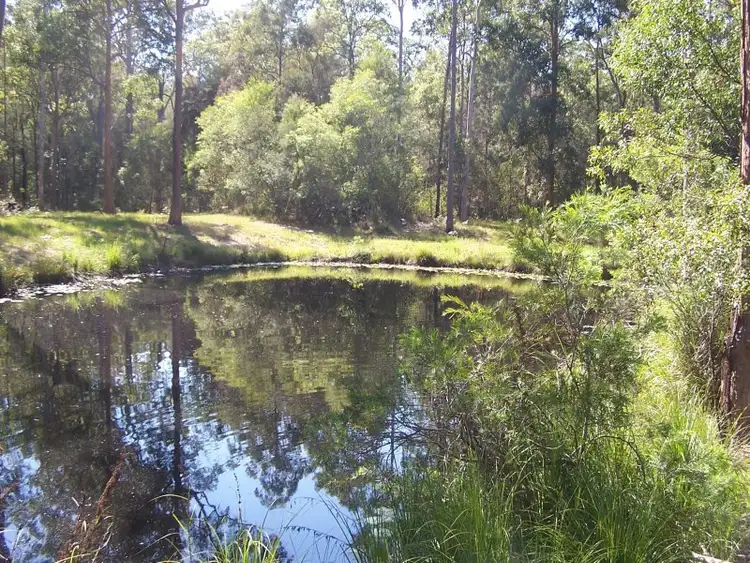 Fifth view of Homely rural property listing, 424 Minimbah West Branch, Nabiac NSW 2312