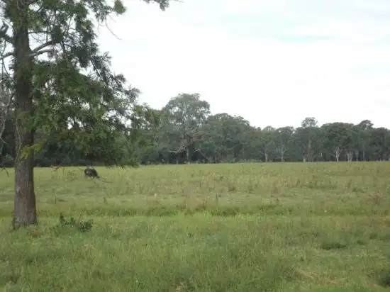 Sixth view of Homely rural property listing, 295 Marks Road Leeville, Casino NSW 2470