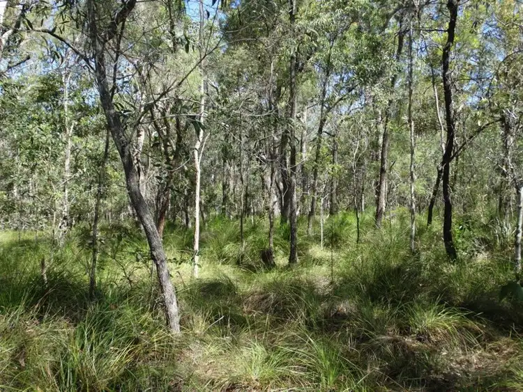 Third view of Homely rural property listing, Lot 13 Muller Road, Baffle Creek QLD 4674