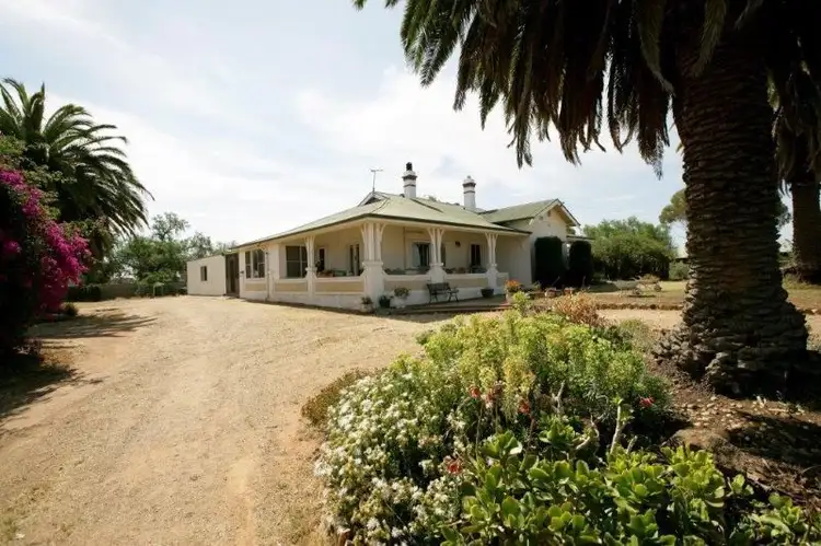 738 Pikedale Road, Old Junee NSW 2652