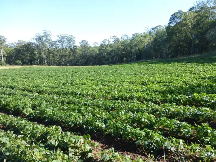 Second view of Homely rural property listing, Address available on request