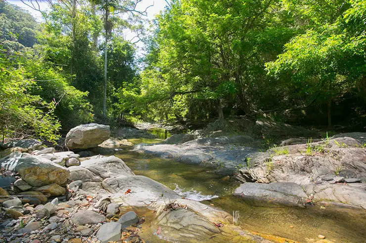 1881 South Arm Rd, South Arm NSW 2449