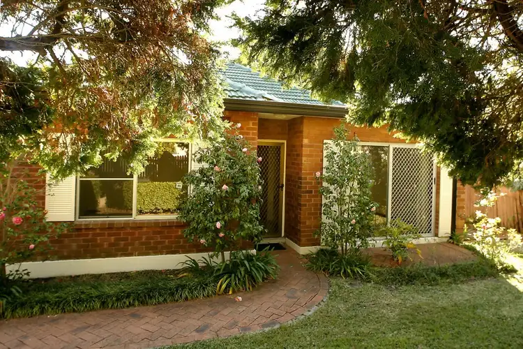 46 Thomas Street, North Manly NSW 2100