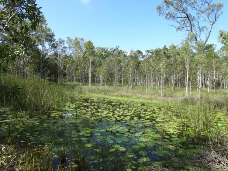 Fifth view of Homely rural property listing, 193 Maude Hill Road, Deepwater QLD 4674