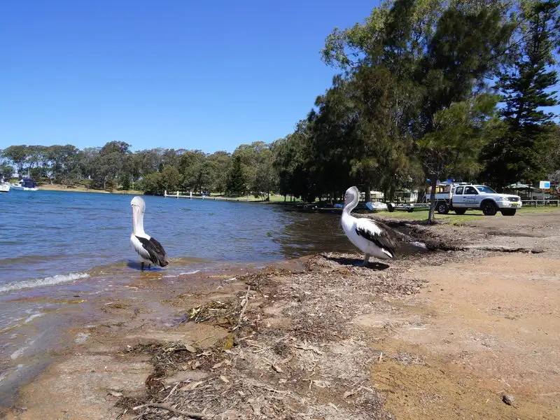 Main view of Homely house listing, 88 Watkins Road, Wangi Wangi NSW 2267