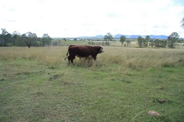 Main view of Homely rural property listing, Address available on request